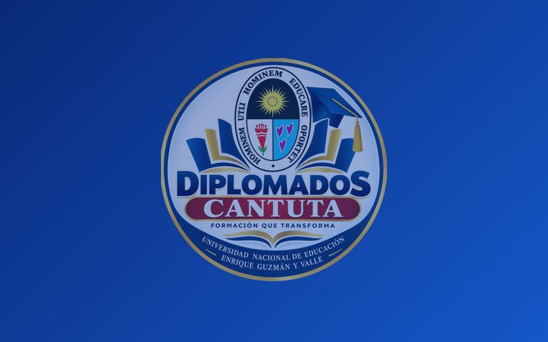 Curso Rehabilitación Neuropsicológica en Adulto Mayor: Técnicas y Programas de Intervención Cognitiva
